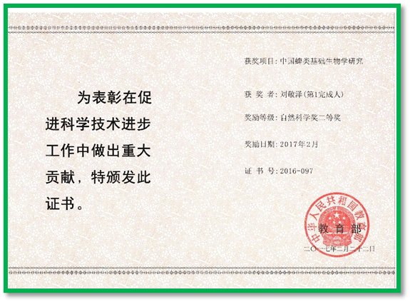 图片3.png 依托世界杯网页版世界杯shijieb