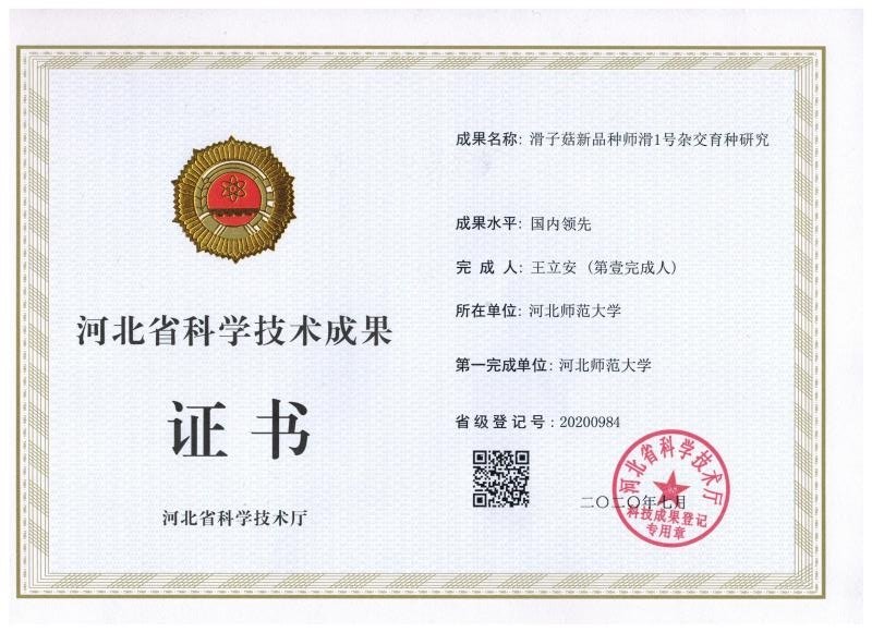 应用研究团队